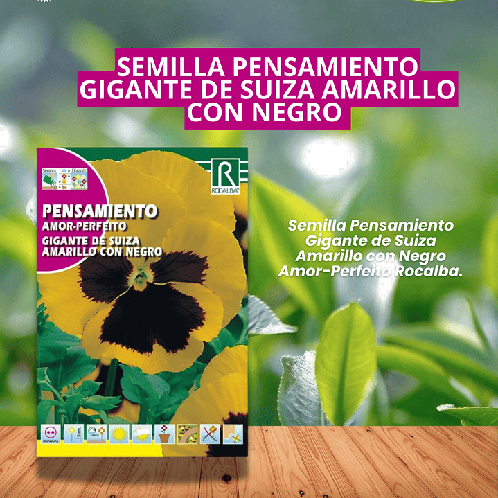 ROCALBA SEMILLA PENSAMIENTO AMARILLO 0.5 GRAMOS /BEST GARDEN  1