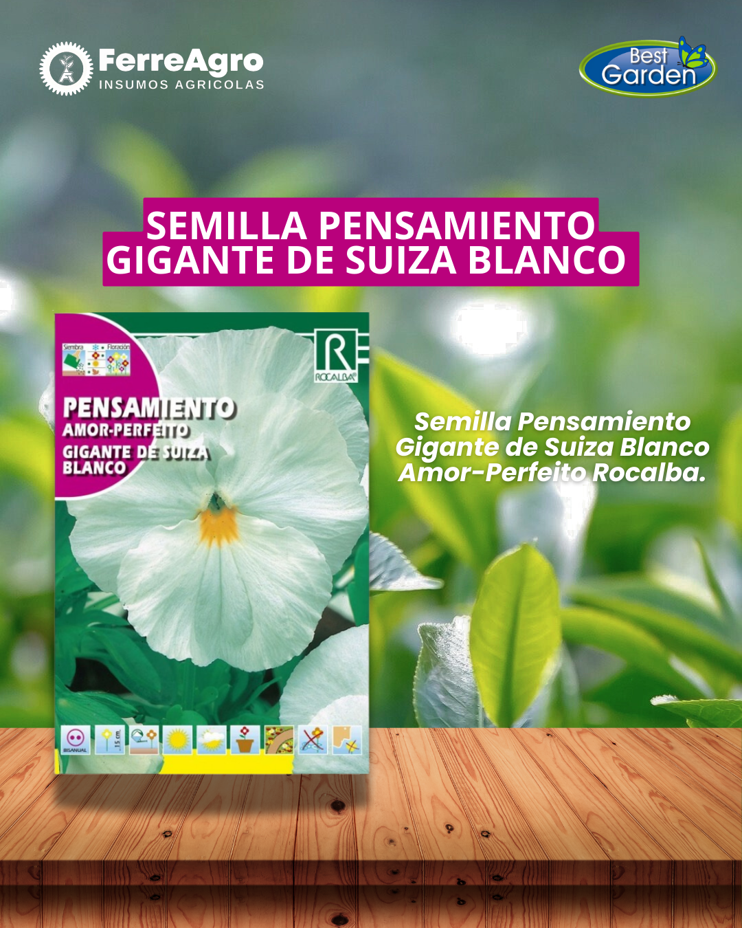 ROCALBA SEMILLA PENSAMIENTO BLANCO