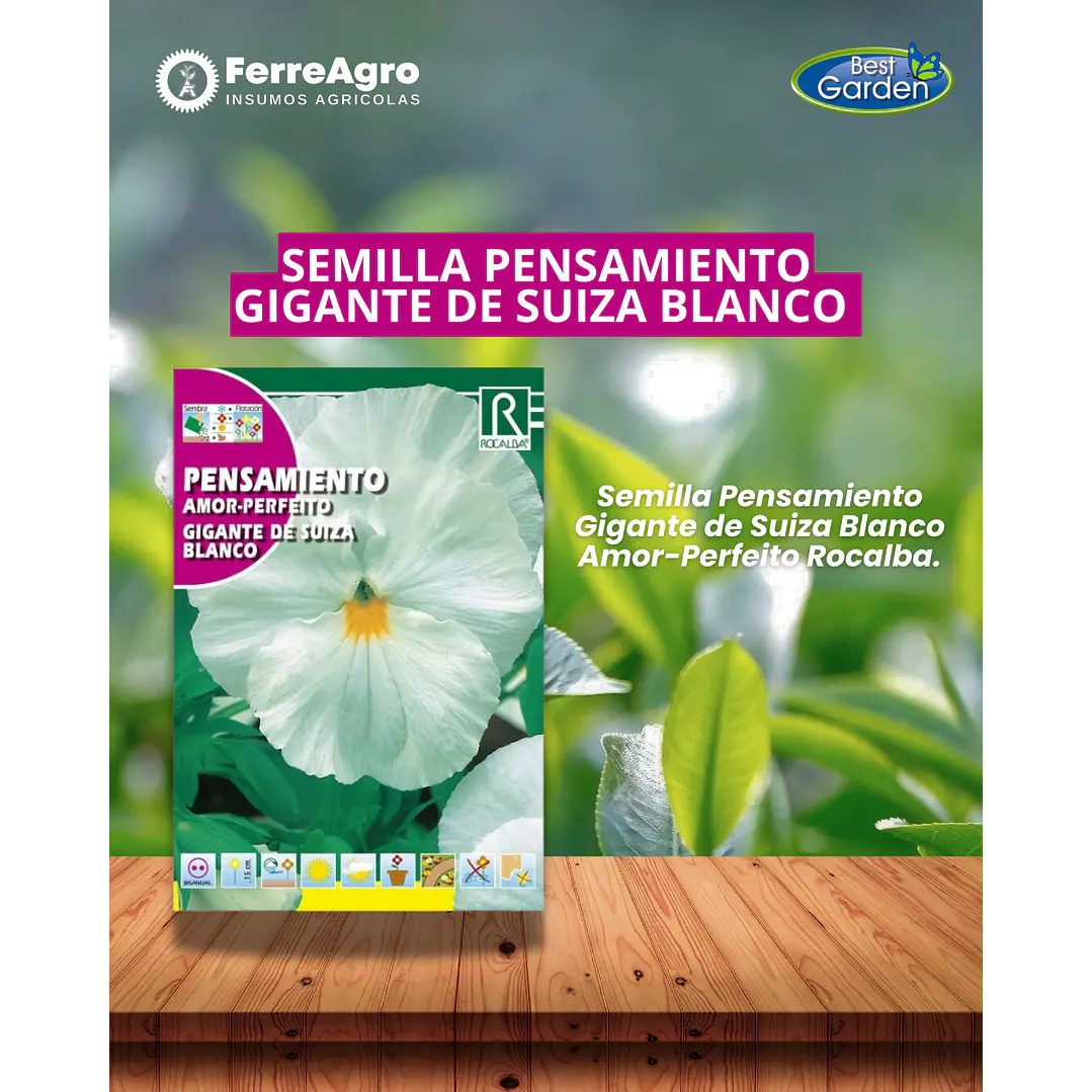 ROCALBA SEMILLA PENSAMIENTO BLANCO 1
