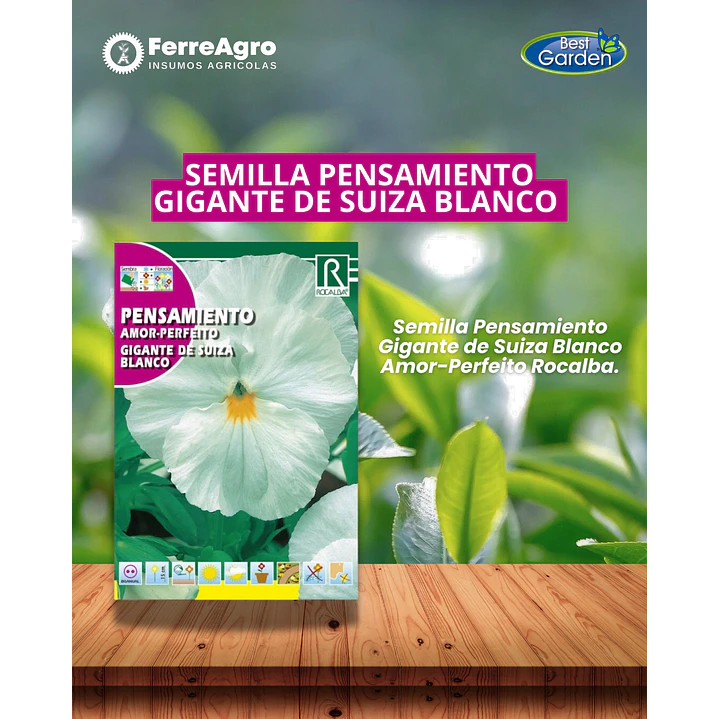 ROCALBA SEMILLA PENSAMIENTO BLANCO 1