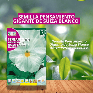 ROCALBA SEMILLA PENSAMIENTO BLANCO 0.5 GRAMOS/BEST GARDEN 