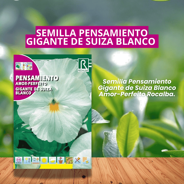 ROCALBA SEMILLA PENSAMIENTO BLANCO 0.5 GRAMOS/BEST GARDEN  1