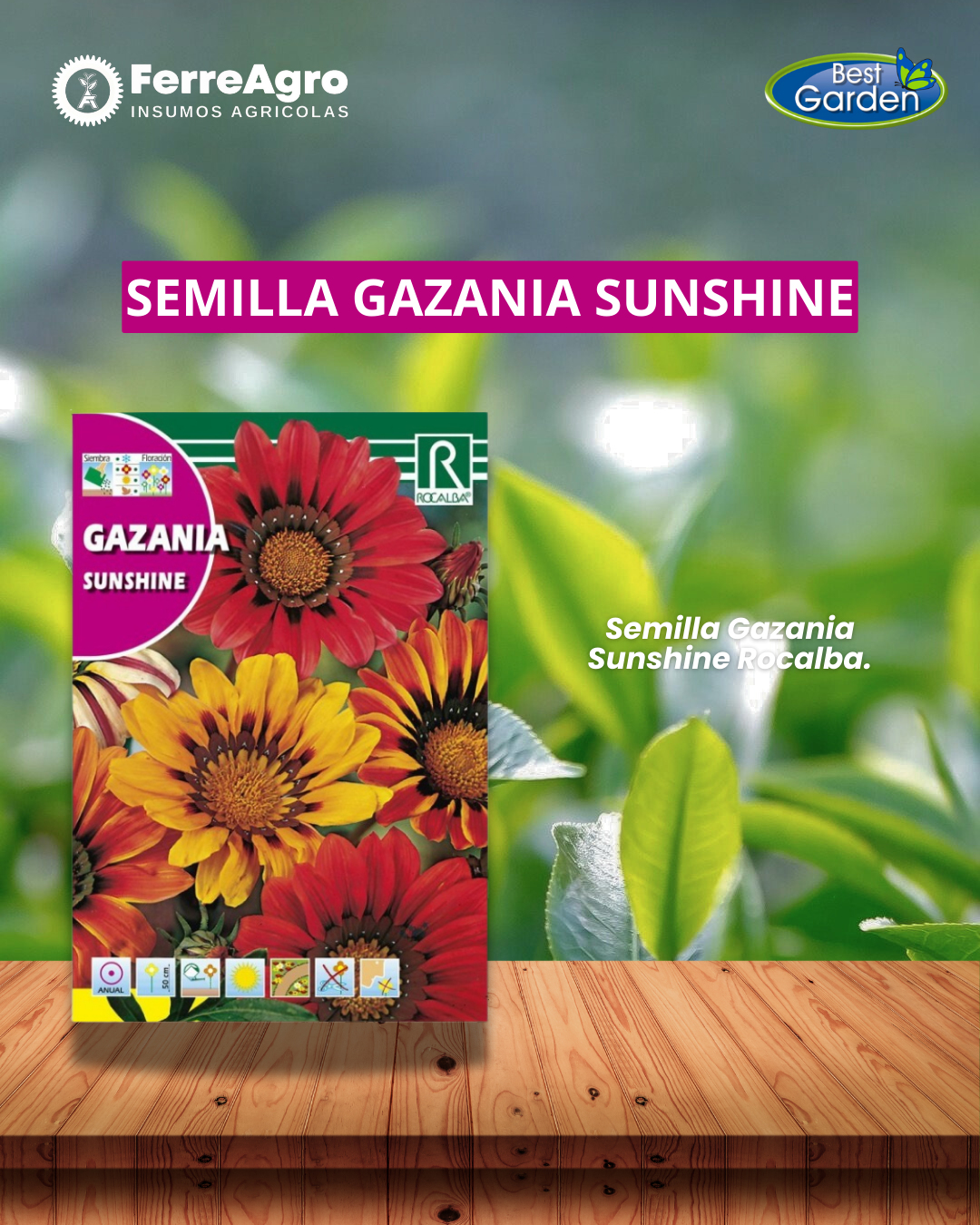 ROCALBA SEMILLA GAZANIA