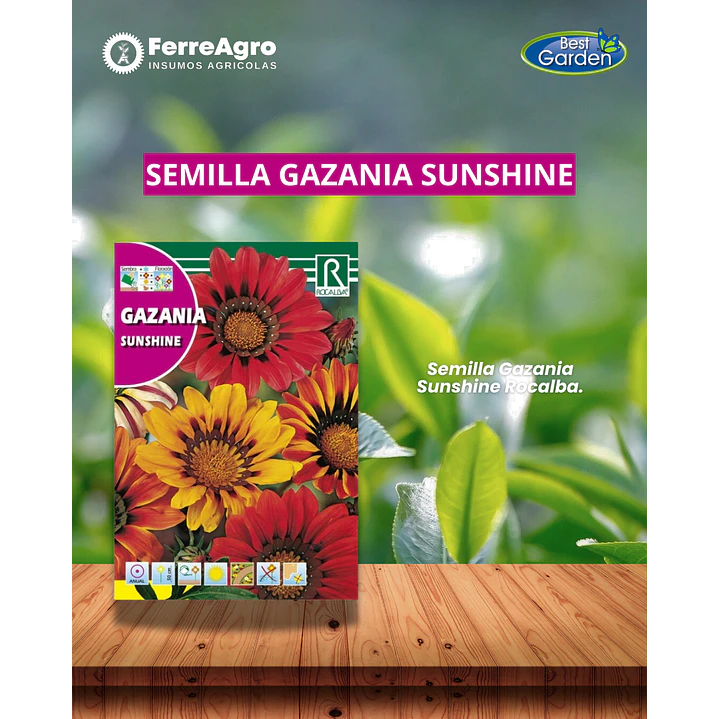 ROCALBA SEMILLA GAZANIA  1