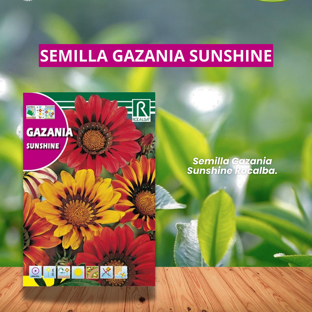 ROCALBA SEMILLA GAZANIA 0.2 GRAMOS/BEST GARDEN 1