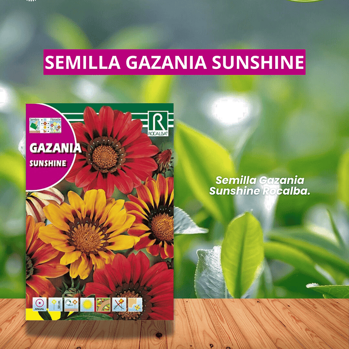 ROCALBA SEMILLA GAZANIA 0.2 GRAMOS/BEST GARDEN 1