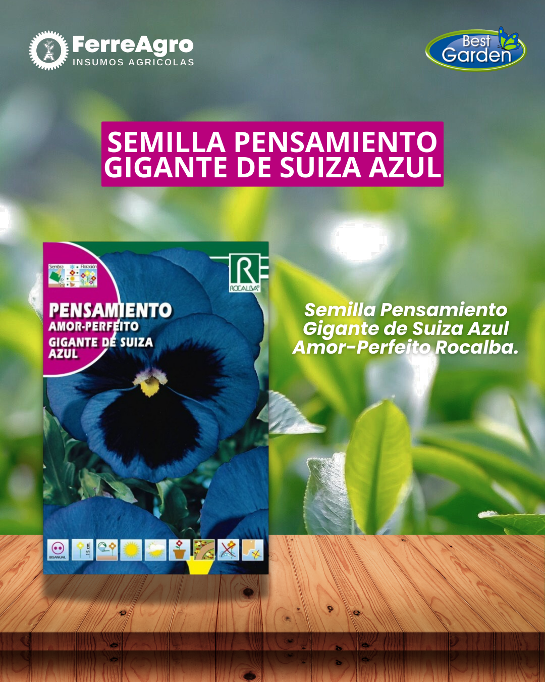 ROCALBA SEMILLA PENSAMIENTO AZUL