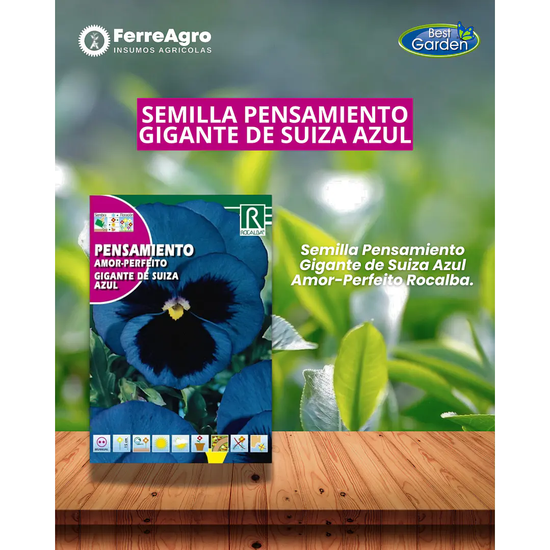 ROCALBA SEMILLA PENSAMIENTO AZUL 1