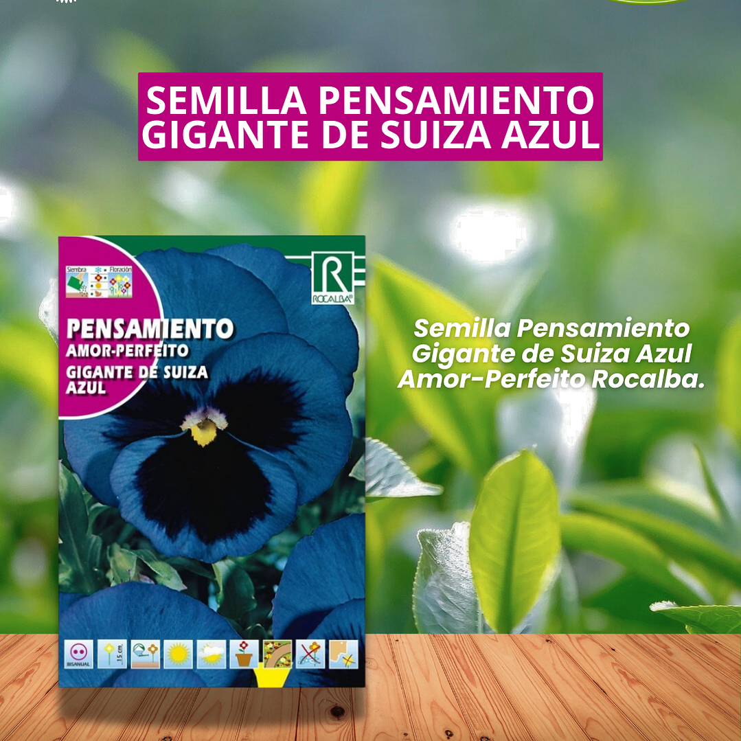 ROCALBA SEMILLA PENSAMIENTO AZUL 0.5 GRAMOS / BEST GARDEN  1