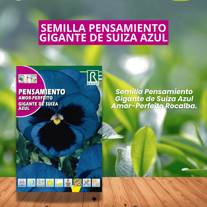 ROCALBA SEMILLA PENSAMIENTO AZUL 0.5 GRAMOS / BEST GARDEN  1