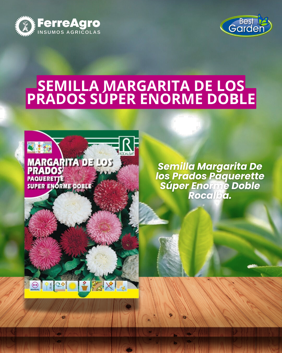 ROCALBA SEMILLA MARGARITA DE LOS PRADOS