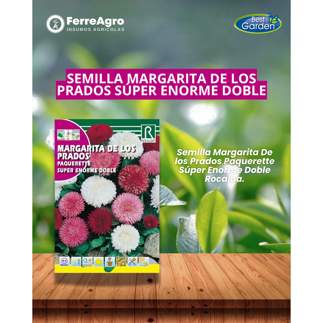 ROCALBA SEMILLA MARGARITA DE LOS PRADOS 1