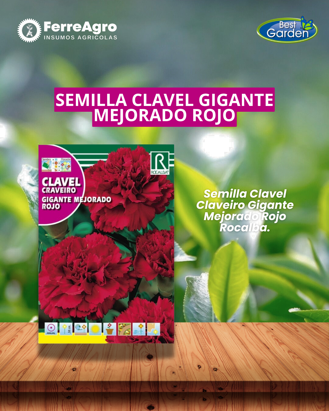 ROCALBA SEMILLA CLAVEL GIGANTE ROJO