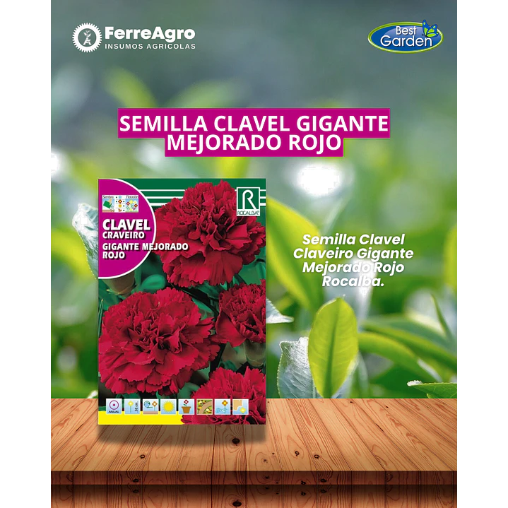 ROCALBA SEMILLA CLAVEL GIGANTE ROJO 1