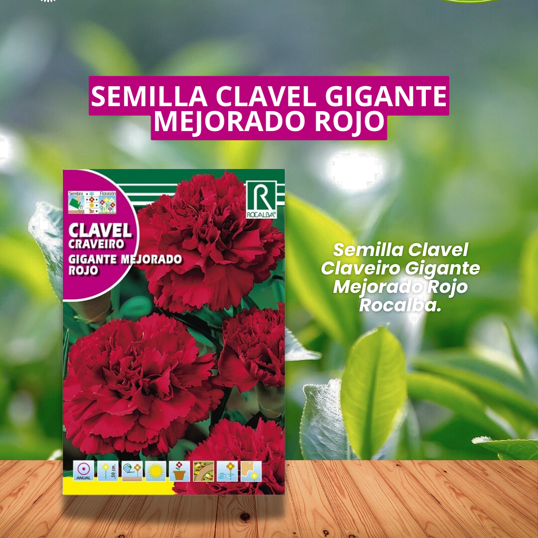ROCALBA SEMILLA CLAVEL GIGANTE ROJO 1 GR / BEST GARDEN  1
