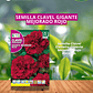 ROCALBA SEMILLA CLAVEL GIGANTE ROJO 1 GR / BEST GARDEN  - Miniatura 1