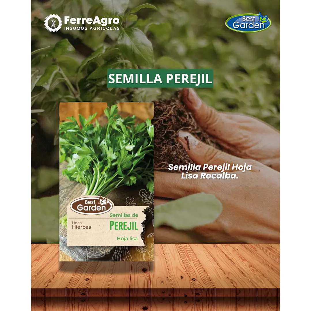 SEMILLA DE PEREJIL 5 GR/ BEST GARDEN  1