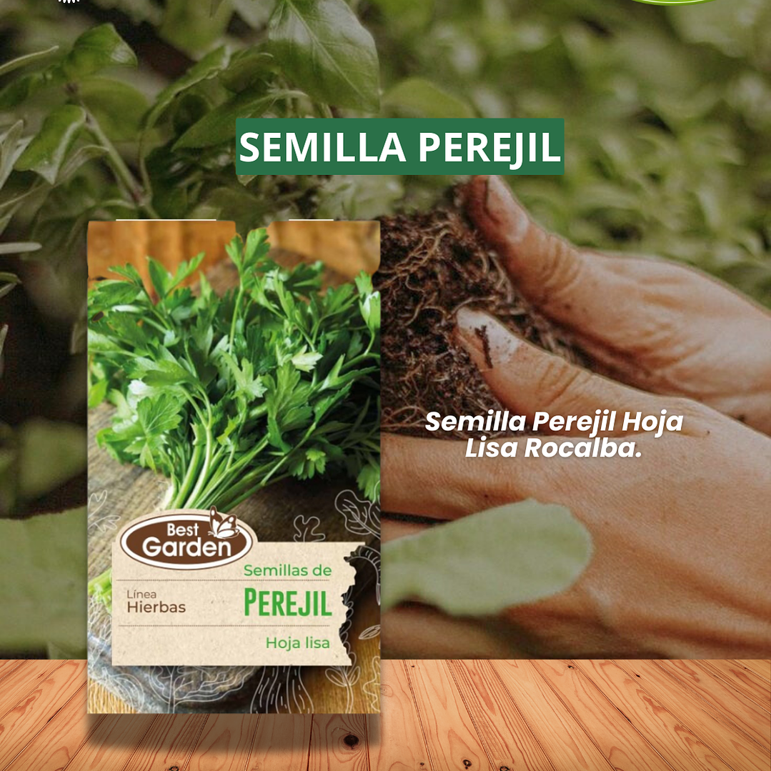 SEMILLA DE PEREJIL 5 GR/ BEST GARDEN  1