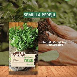 SEMILLA DE PEREJIL 5 GR/ BEST GARDEN 