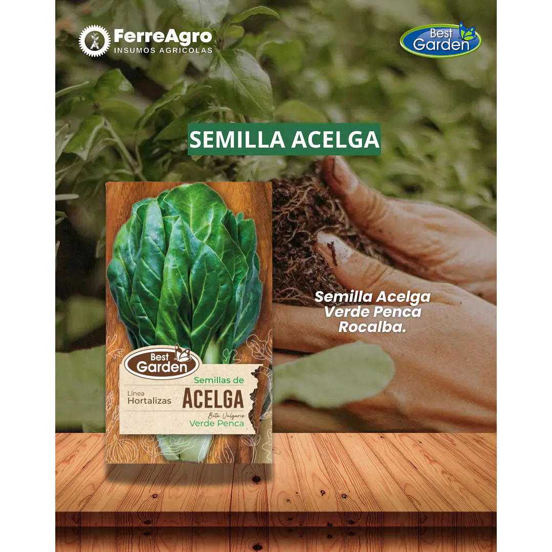 SEMILLA ACELGA 5 GRS / BEST GARDEN  1