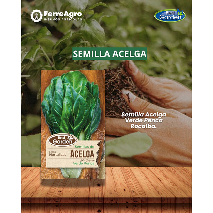 SEMILLA ACELGA 5 GRS / BEST GARDEN  1