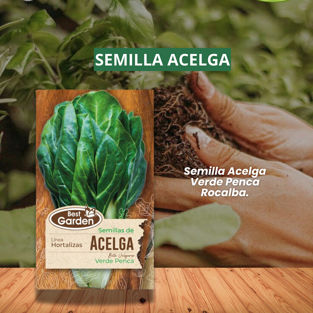 SEMILLA ACELGA 5 GRS / BEST GARDEN  1