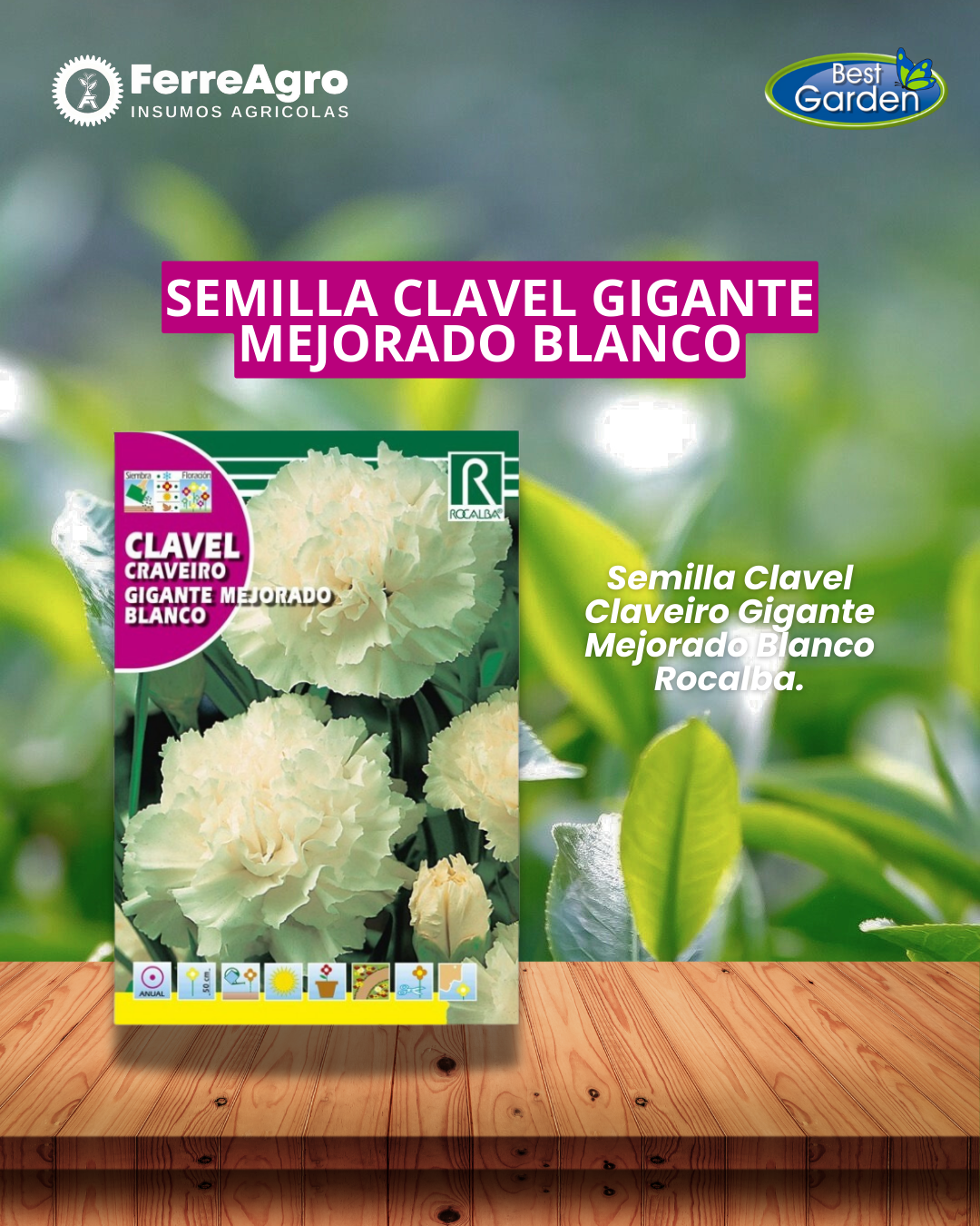 ROCALBA SEMILLA CLAVEL GIGANTE BLANCO