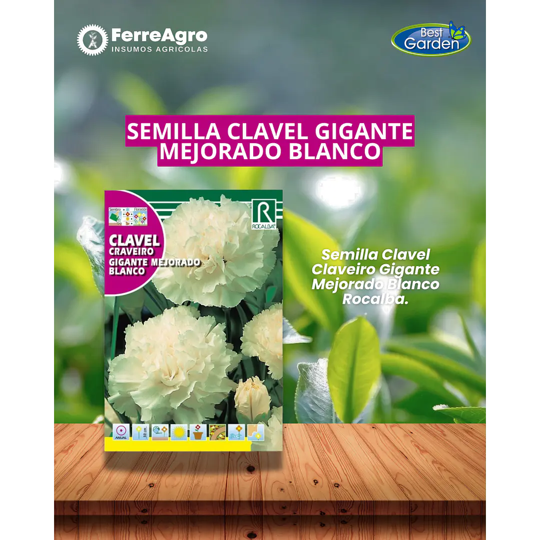 ROCALBA SEMILLA CLAVEL GIGANTE BLANCO 1