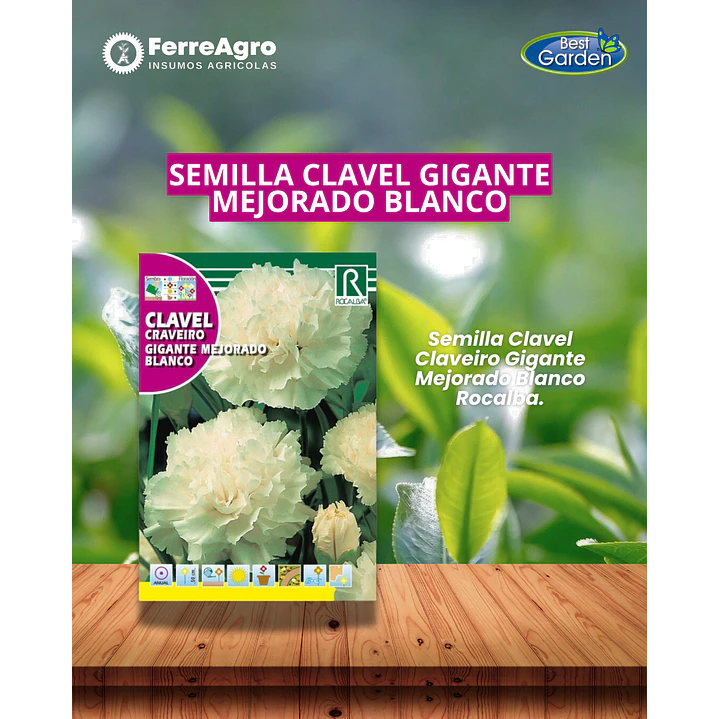 ROCALBA SEMILLA CLAVEL GIGANTE BLANCO 1