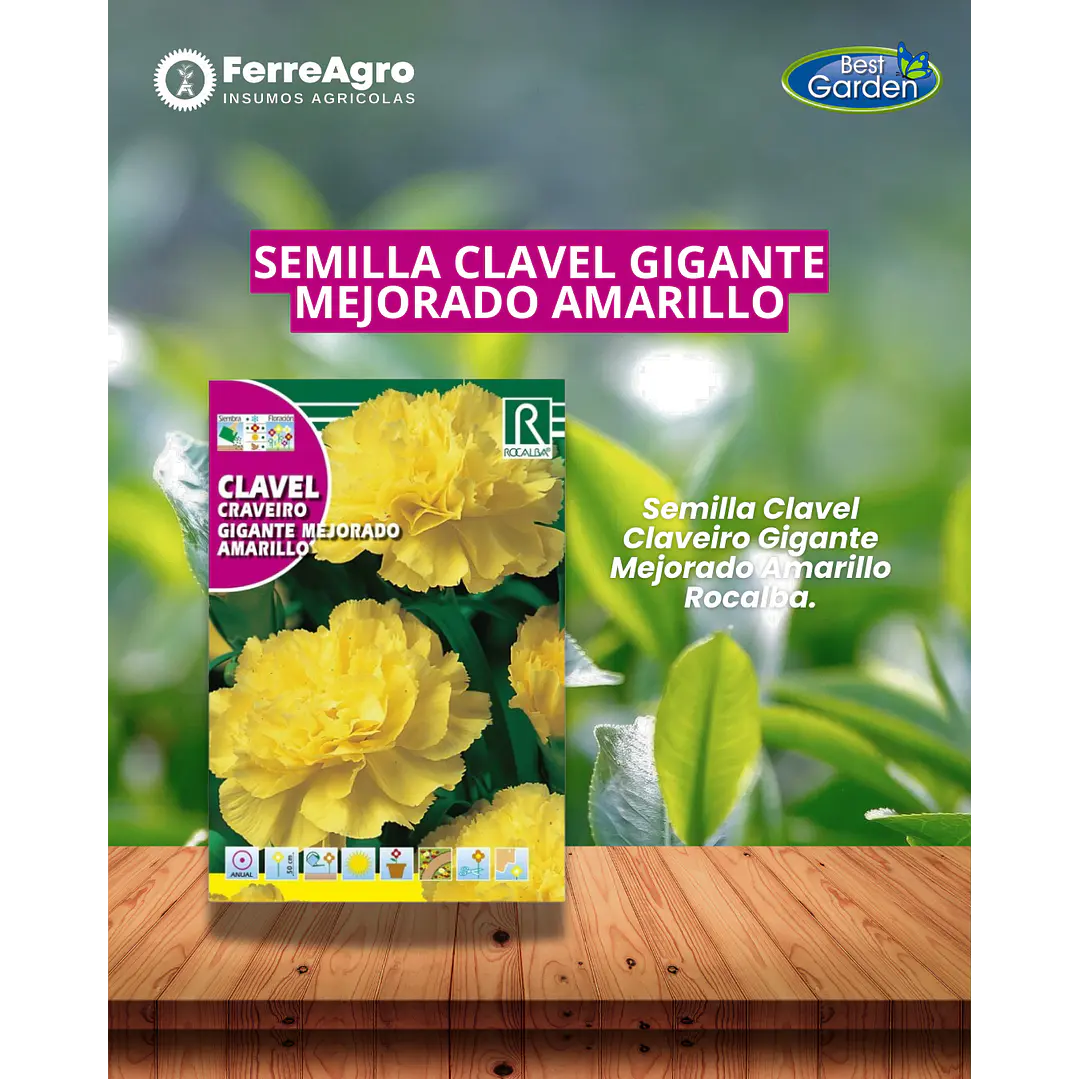 ROCALBA SEMILLA CLAVEL GIGANTE AMARILLO 1