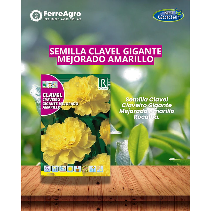 ROCALBA SEMILLA CLAVEL GIGANTE AMARILLO 1