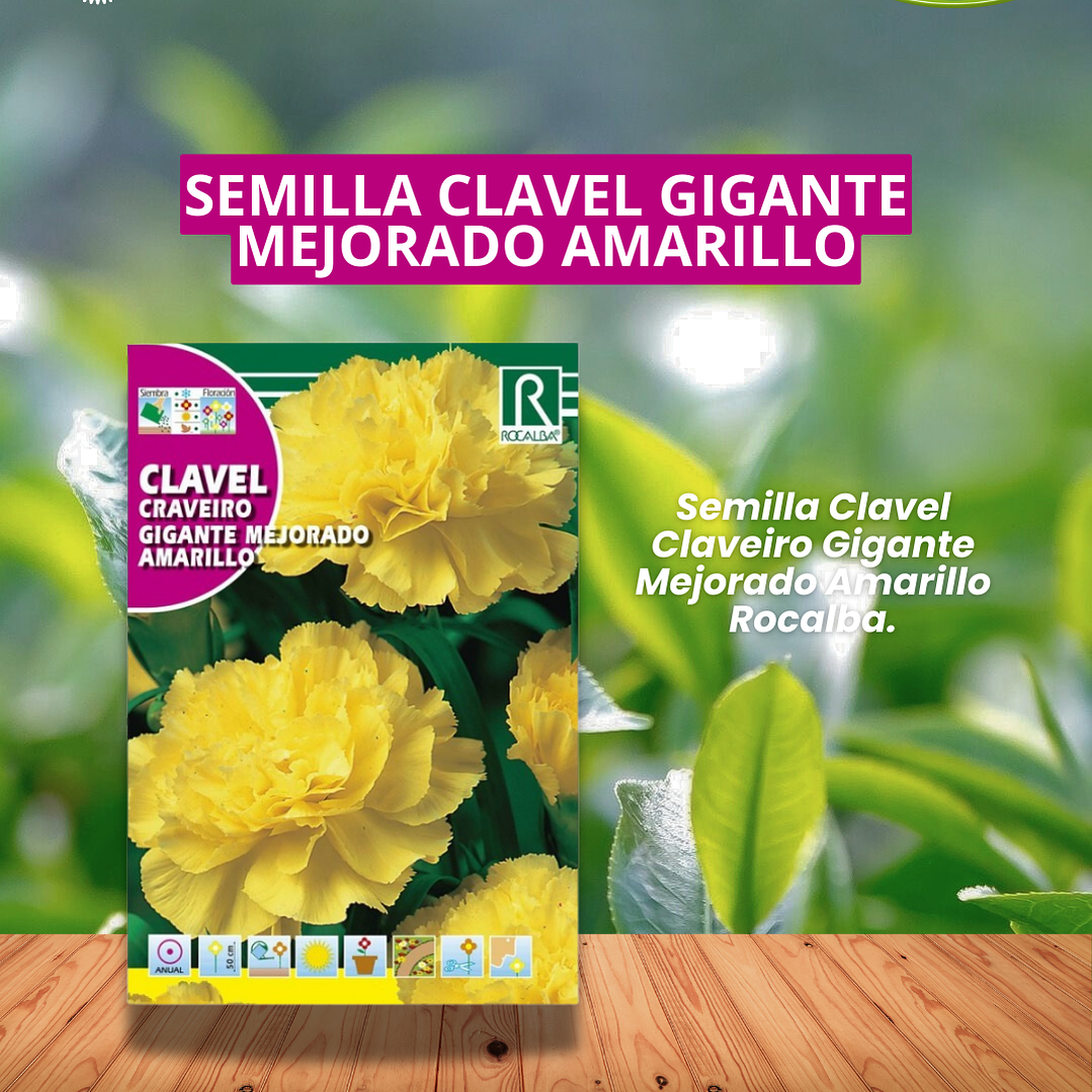 ROCALOBA SEMILLA CLAVEL GIGANTE AMARILLO 1 GR/ BEST GARDEN  1