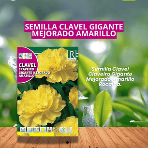 ROCALOBA SEMILLA CLAVEL GIGANTE AMARILLO 1 GR/ BEST GARDEN 