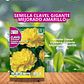 ROCALOBA SEMILLA CLAVEL GIGANTE AMARILLO 1 GR/ BEST GARDEN  - Miniatura 1