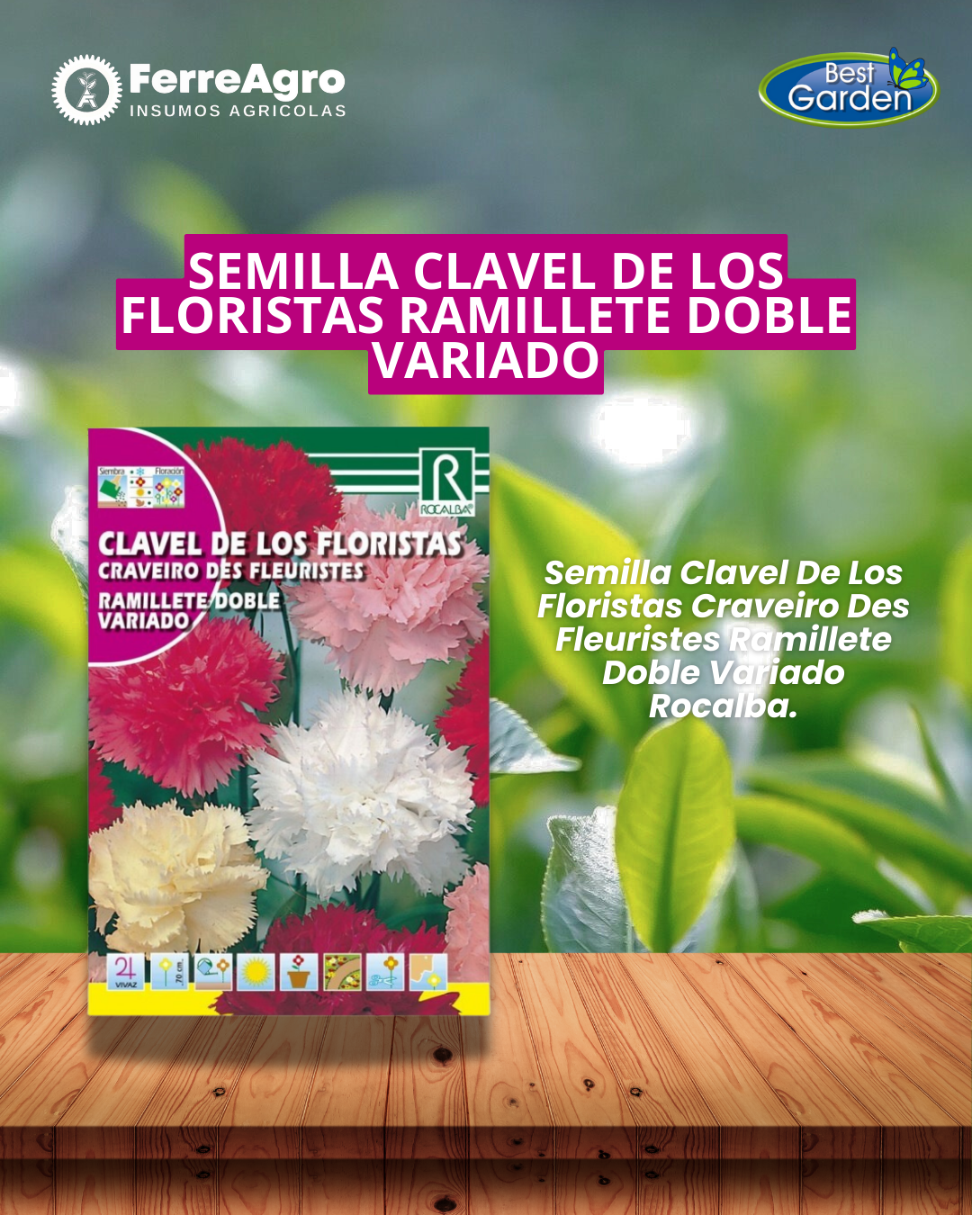 ROCALBA SEMILLA CLAVEL DE LOS FLORISTAS