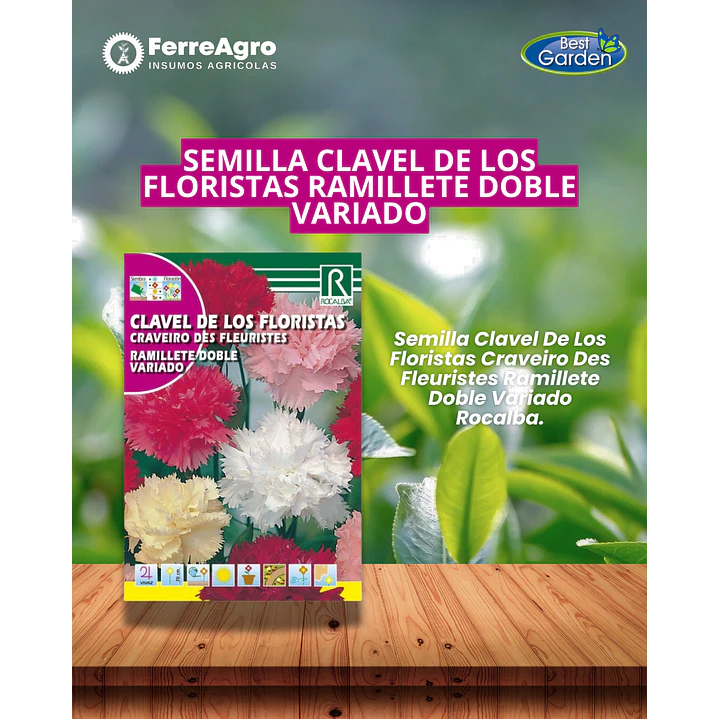 ROCALBA SEMILLA CLAVEL DE LOS FLORISTAS 1