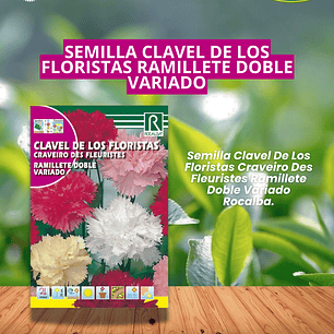 ROCALBA SEMILLA CLAVEL DE LOS FLORISTAS 1 GR/BEST GARDEN 