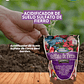 SULFATO DE FIERRO 1 KG /BEST GARDEN  - Miniatura 1