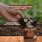 ENRAIZANTE NATURAL RAÍZ FORTE 50 G /BEST GARDEN  - Miniatura 1