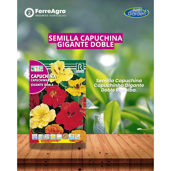 SEMILLA CAPUCHINA GIGANTE DOBLE 10 GRS / BEST GARDEN  1