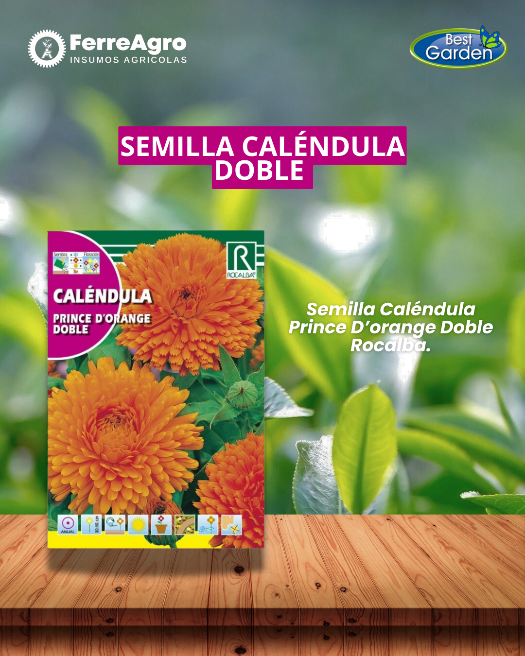ROCALBA SEMILLA CALÉNDULA PRINCE