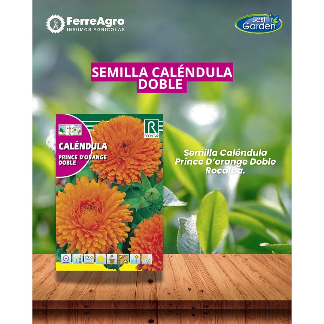 ROCALBA SEMILLA CALÉNDULA PRINCE 1