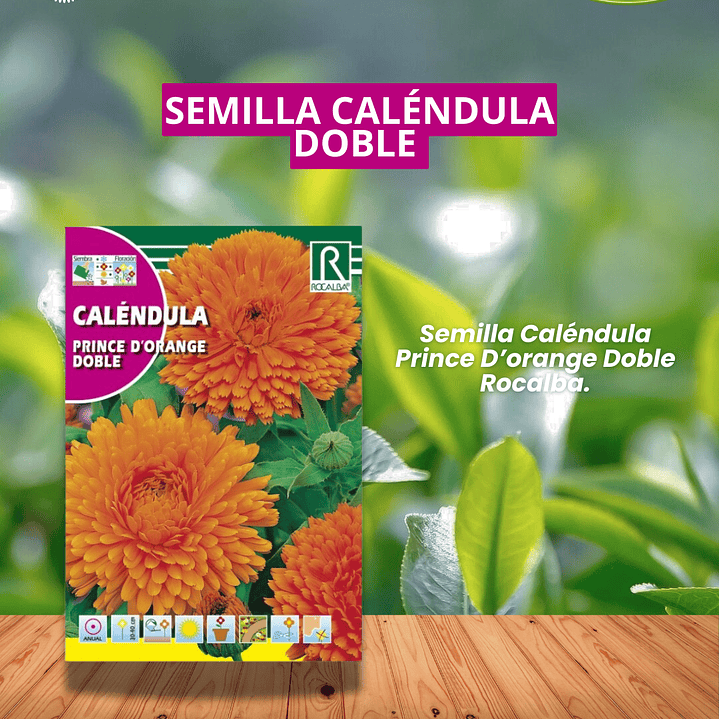 ROCALBA SEMILLA CALÉNDULA PRINCE 10 GRS/ BEST GARDEN 1