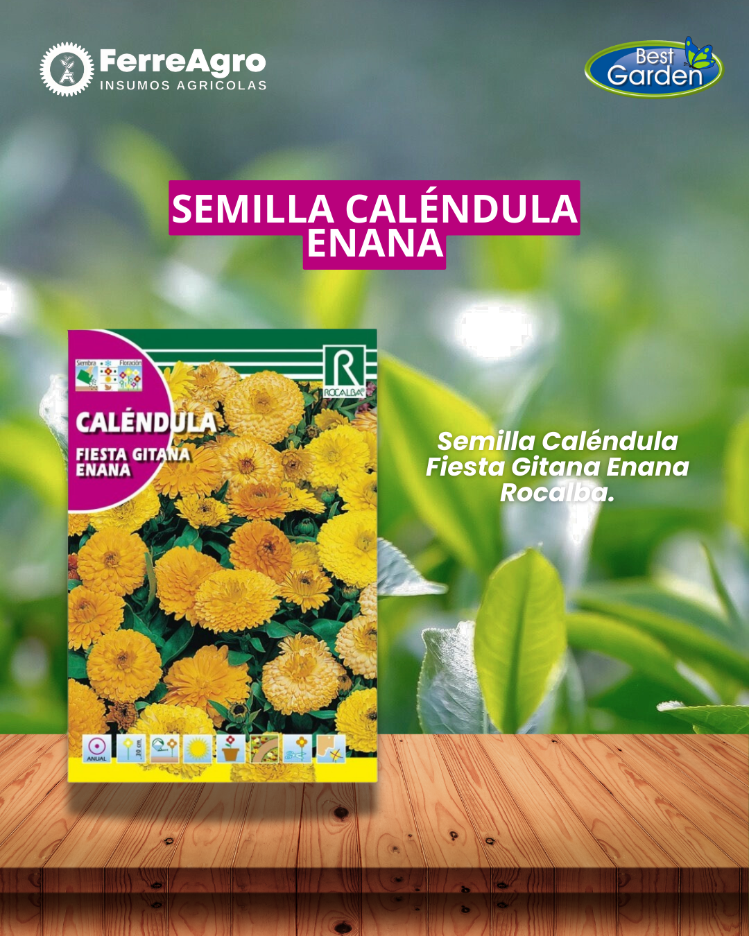 ROCALBA SEMILLA CALÉNDULA FIESTA