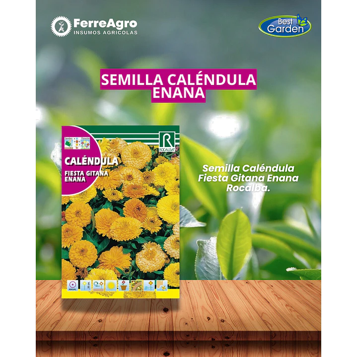 ROCALBA SEMILLA CALÉNDULA FIESTA 1