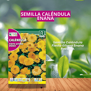 ROCALBA SEMILLA CALÉNDULA FIESTA 3 GR / BEST GARDEN 