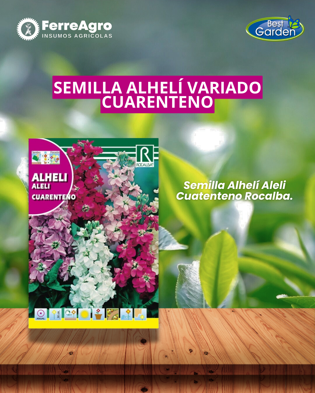 ROCALBA SEMILLA ALHELI VARIADO
