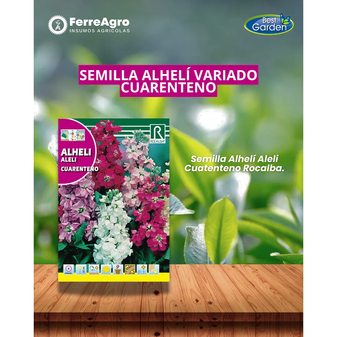 ROCALBA SEMILLA ALHELI VARIADO 1