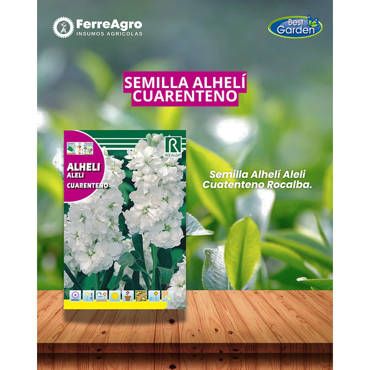 ROCALBA SEMILLA ALHELI BLANCO 1