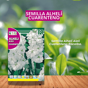 ROCALBA SEMILLA ALHELI BLANCO 0.5 GR/ BEST GARDEN 